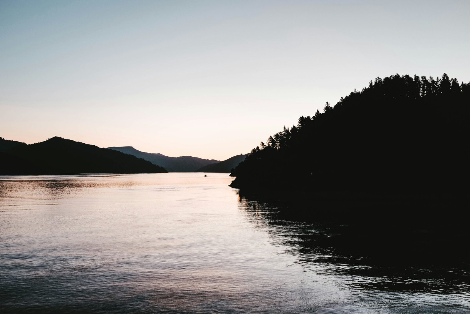 body of water near forest during daytime